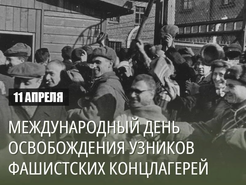 Освобождение узников фашистских лагерей. 11 Апреля Международный день освобождения узников концлагерей. 11 Апреля 1945 день освобождения узников фашистских лагерей. Международный день узников фашистских концлагерей. 11 Апреля день памяти узников фашистских концлагерей.