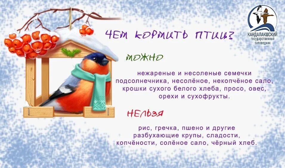 Примите участие в создании