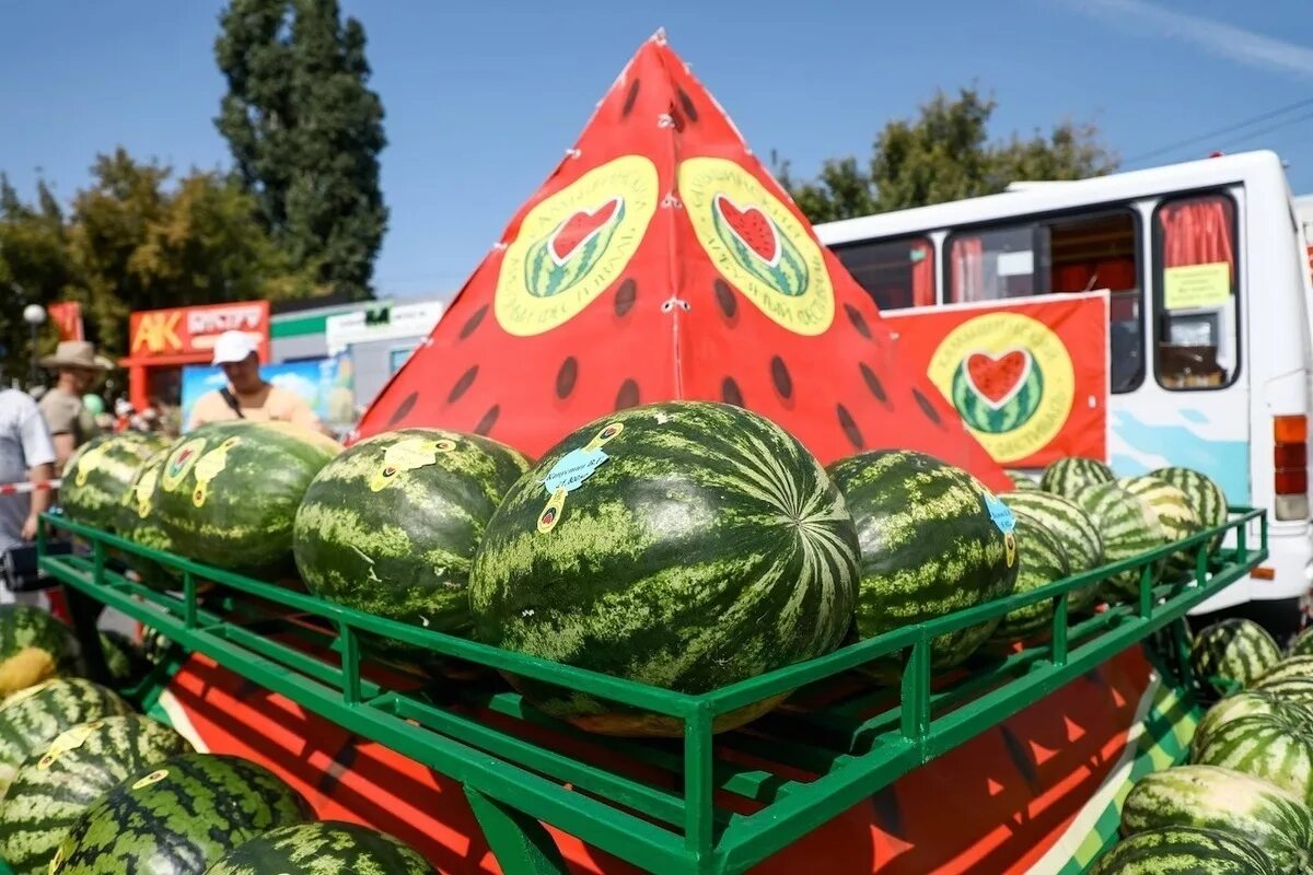 Арбузами продается