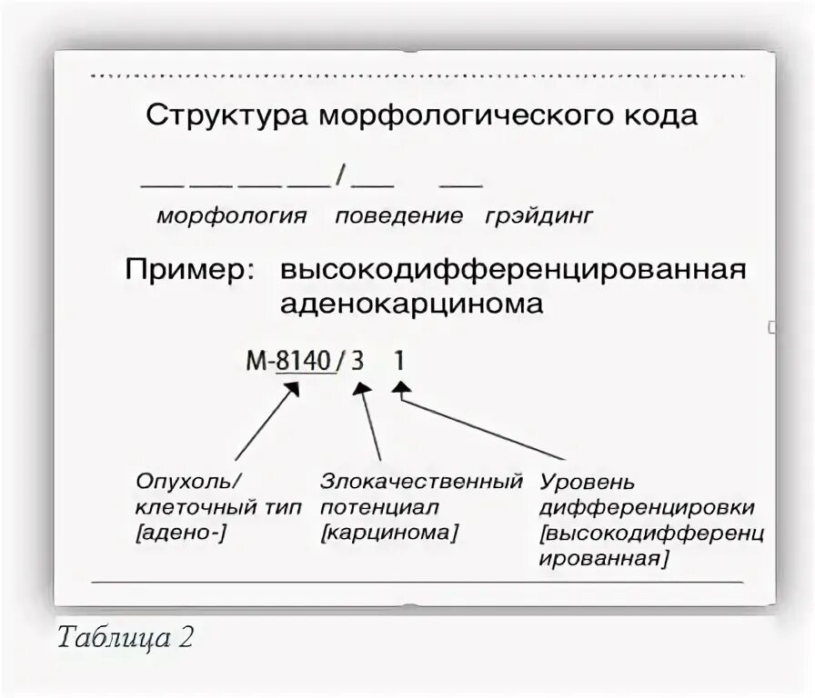 Код опухоли м8140/3. Код морфологии 8140.3. Код по мкб 8140/3 аденокарцинома БДУ. Неопределенный злокачественный потенциал что это такое. Злокачественный потенциал