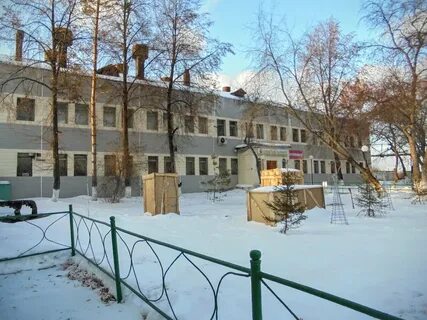 Кузбасский скарабей