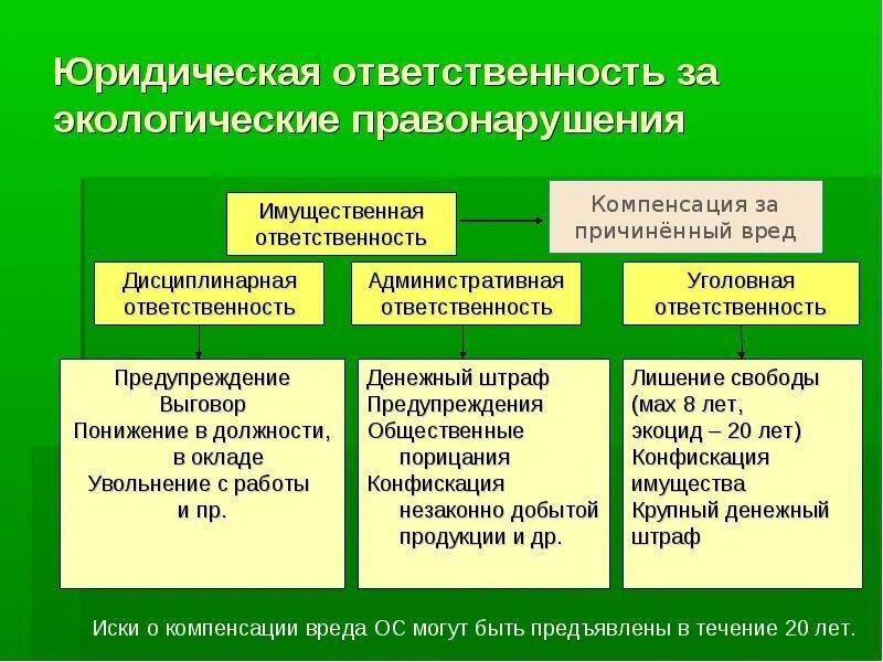 Виды ответственности за экологические правонарушения. Виды юридической ответственности в экологическом праве. Виды юридической ответственности за экологические правонарушения.