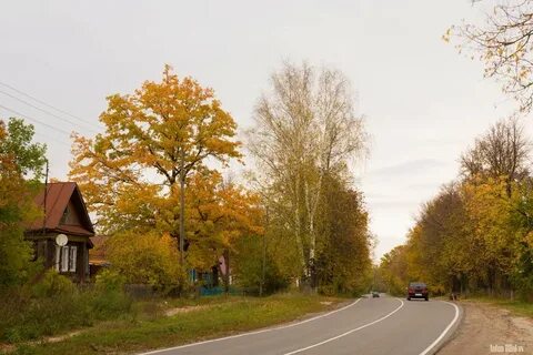 Погода морозовка гороховецкого владимирской