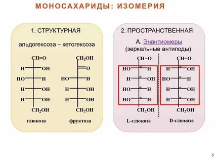 Углеводы изомеры
