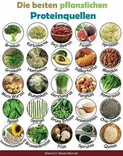 Plant protein