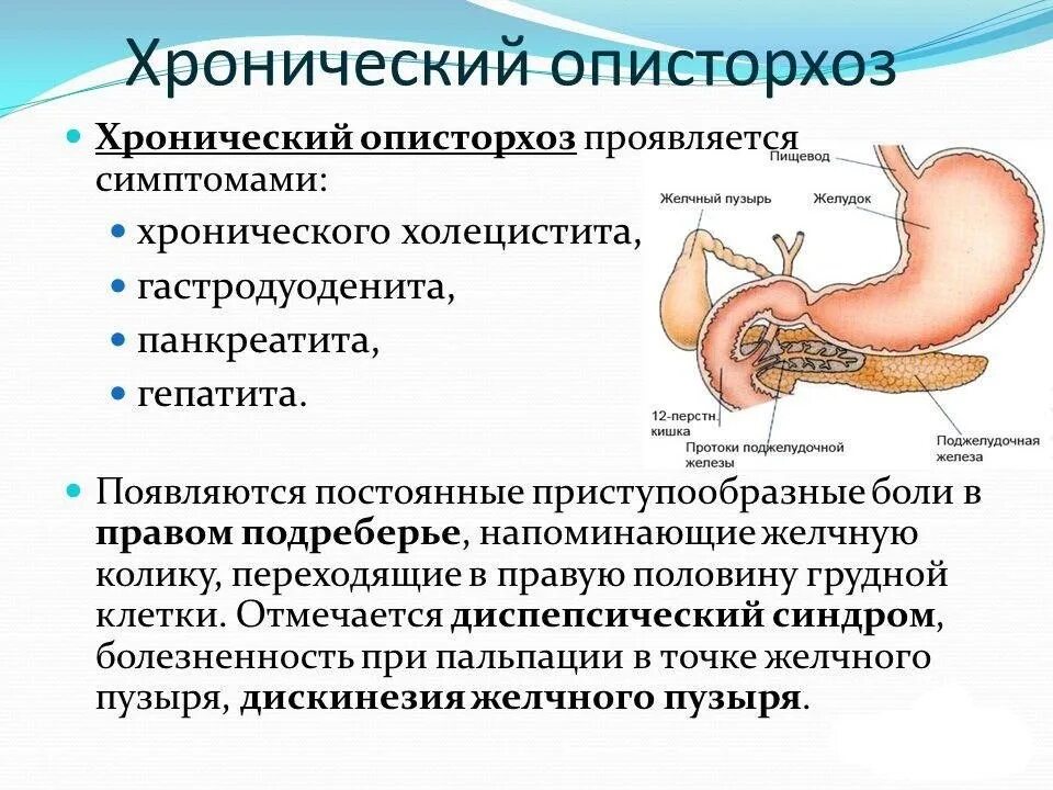 Диагностика гастродуоденита. Острый описторхоз симптомы. Описторхоз хроническая фаза. Диагностические критерии описторхоза. Синдромы при хроническом описторхозе.