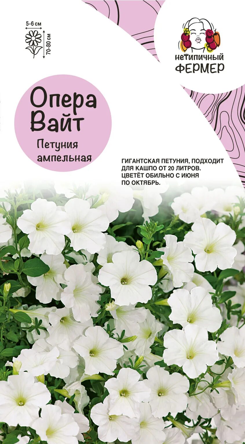 петуния опера вайт. петуния поэтесса f1. петуния опера суприм вайт. петуния опера вайт. петуния опера вайт.