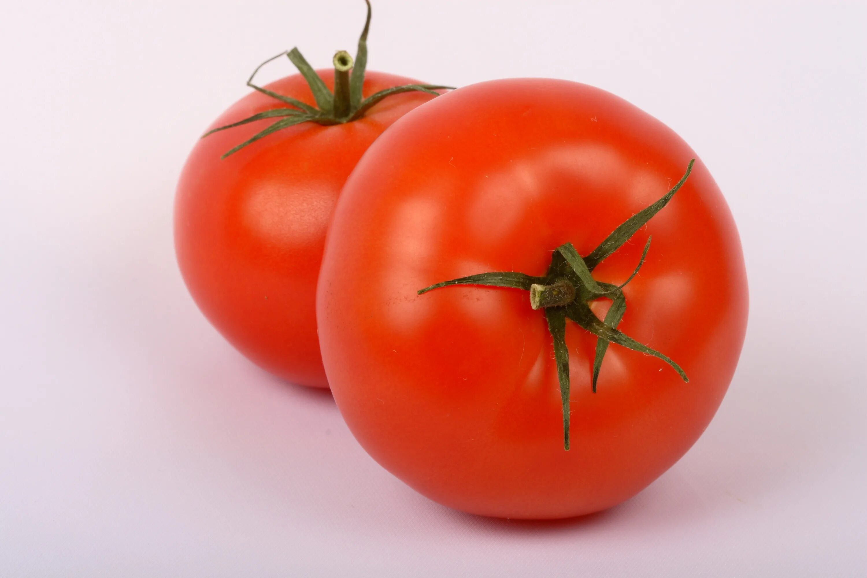 Tomato red. Томат Вано f1. Томат красный Лис. Томат Томато. Томат Вано томат.