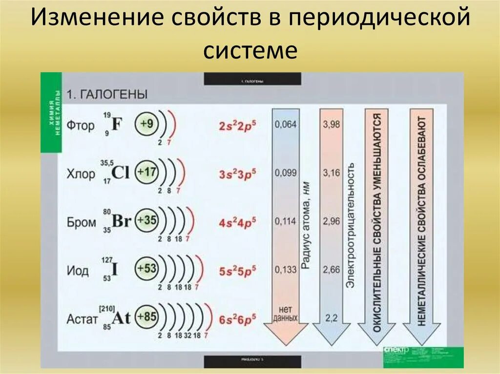 Внешние энергетические уровни фтора. Изменение свойств в периодической системе. Изменение свойств галогенов. Галогены в периодической системе. Изменение свойств серы в периодической системе.