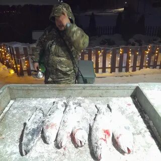Лагуна рыбалка форум