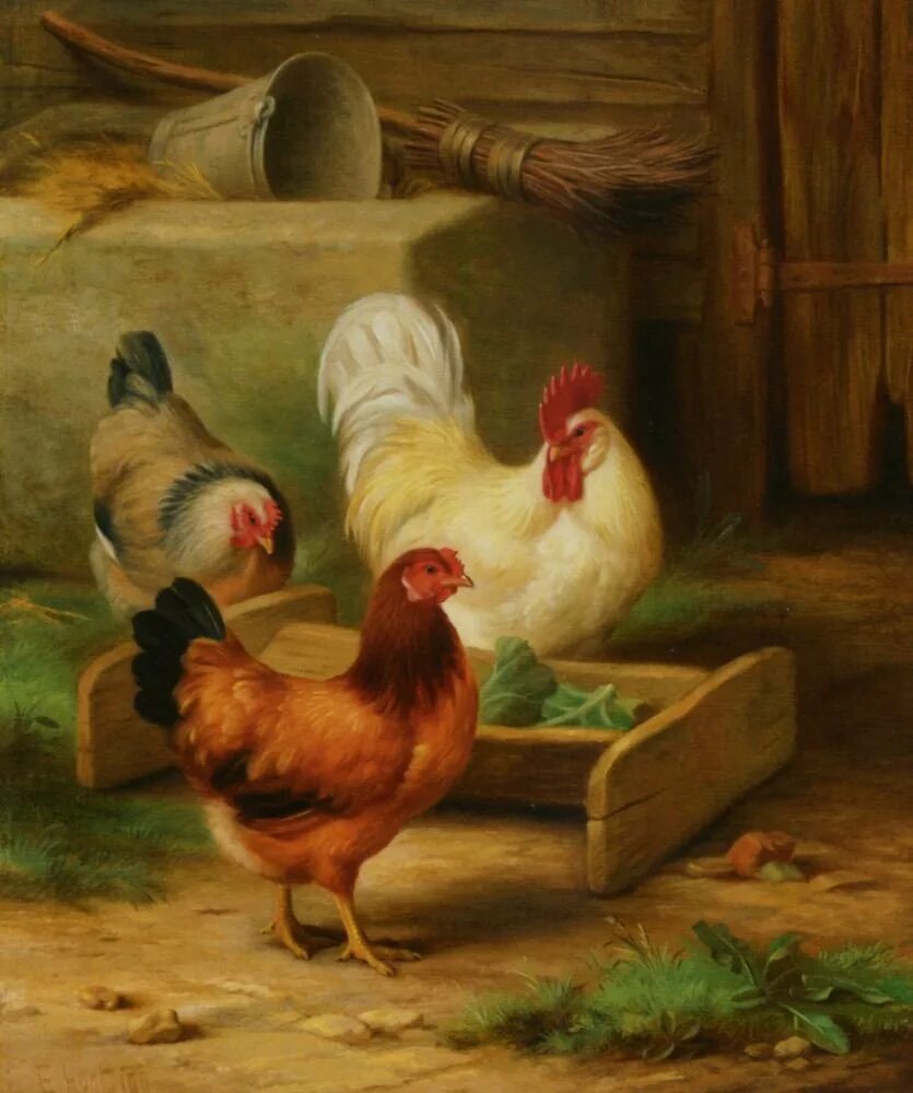 Птичий двор курятник. Карнавал животных куры и петухи. Сен санс птичник. Птичник сен санс. Сен санса птичник рисунок.