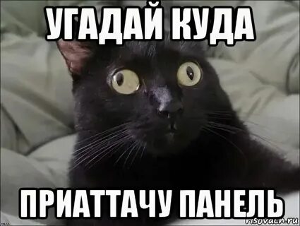 Включи где говори