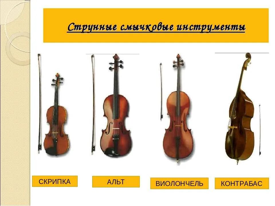 Скрипка струнно смычковый инструмент. Струнные инструменты скрипка Альт контрабас. Струнные смычковые инструменты Альт. Квартет струнных смычковых инструментов. Инструменты струнно-смычковой группы (квартет).