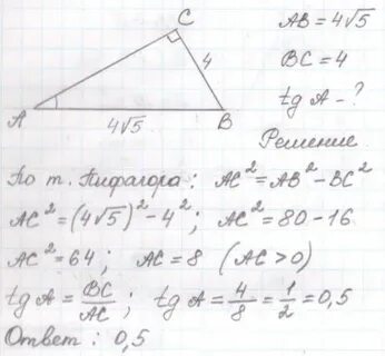 C2 4bc 4b2