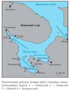 Покажи где находится белое море