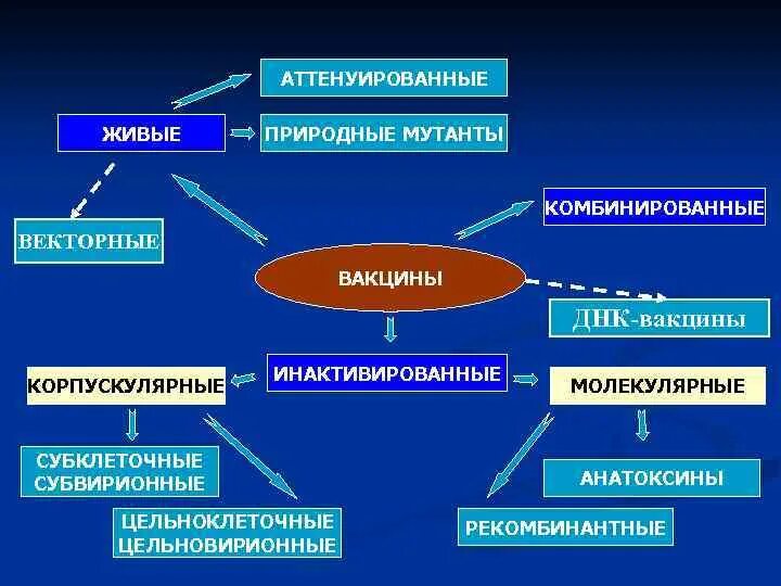 Аттенуированные вакцины это. Субклеточные и субвирионные вакцины. Живые и инактивированные вакцины. Цельноклеточные и цельновирионные вакцины. Классификация вакцин.