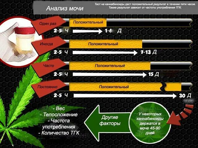 Видно ли в моче никотин. Таблица выведения марихуаны. Вывод наркотиков из мочи. Марихуана выводится из организма. Марихуана в крови и моче.