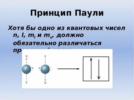 Принцип запрета паули