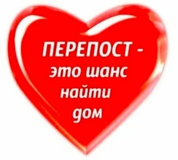 Сделай перепост