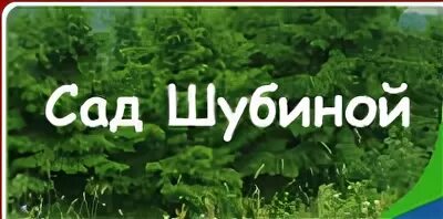 Сайт сады шубиной. Сад шубиной краснообск. сад шубиной в новосибирске. сад шубиной в новосибирске каталог. питомник шубиной.