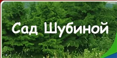 Сад Шубиной Краснообск. Сад Шубиной в Новосибирске. Сад Шубиной в Новосибирске каталог. Питомник Шубиной.