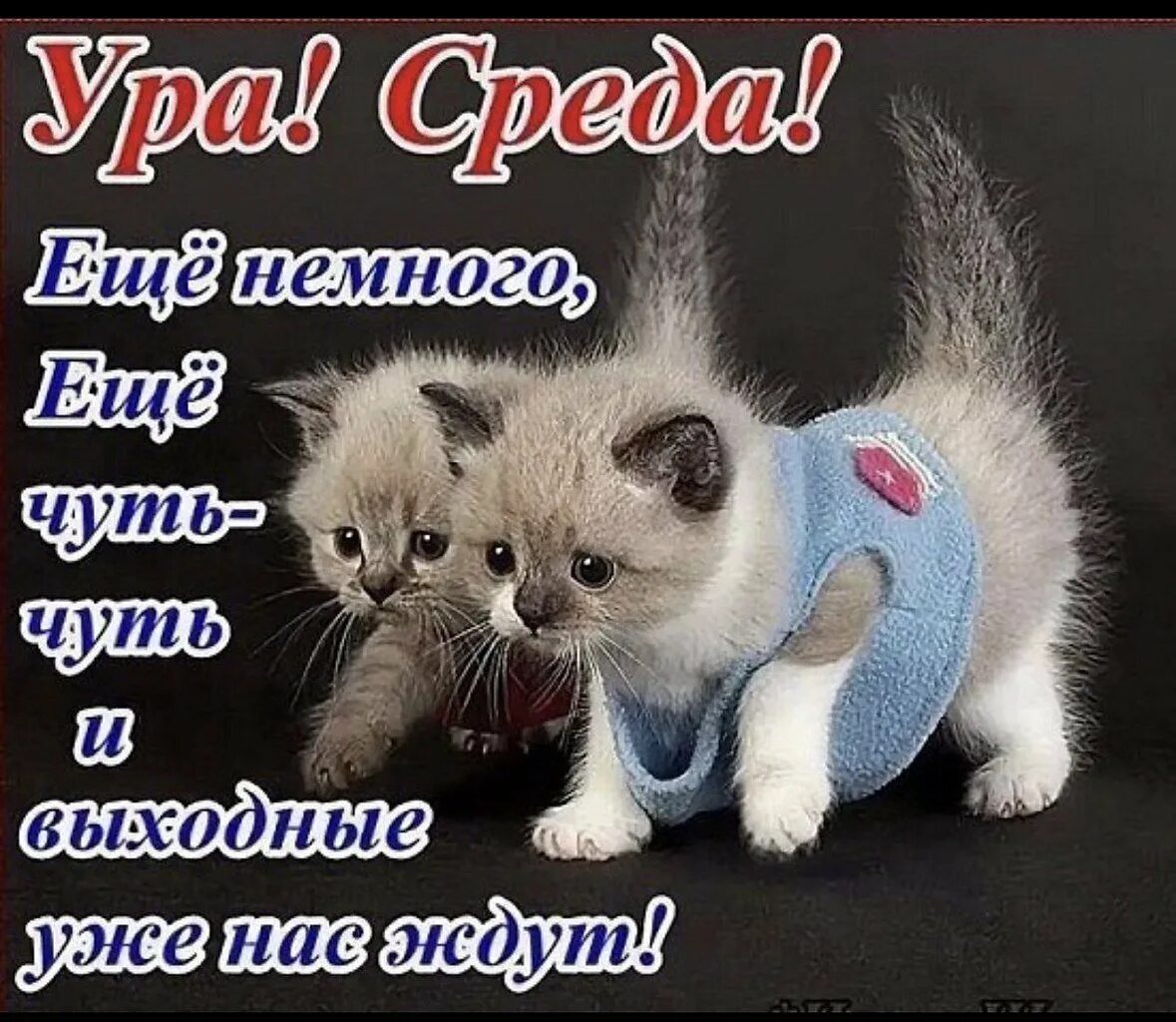 Утро работа среда. Красивые поздравления со средой. открытки со средой. поздравления со средой в картинках. открытки с добрым утром среды.
