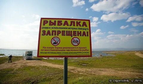 Озеро торма бурятия