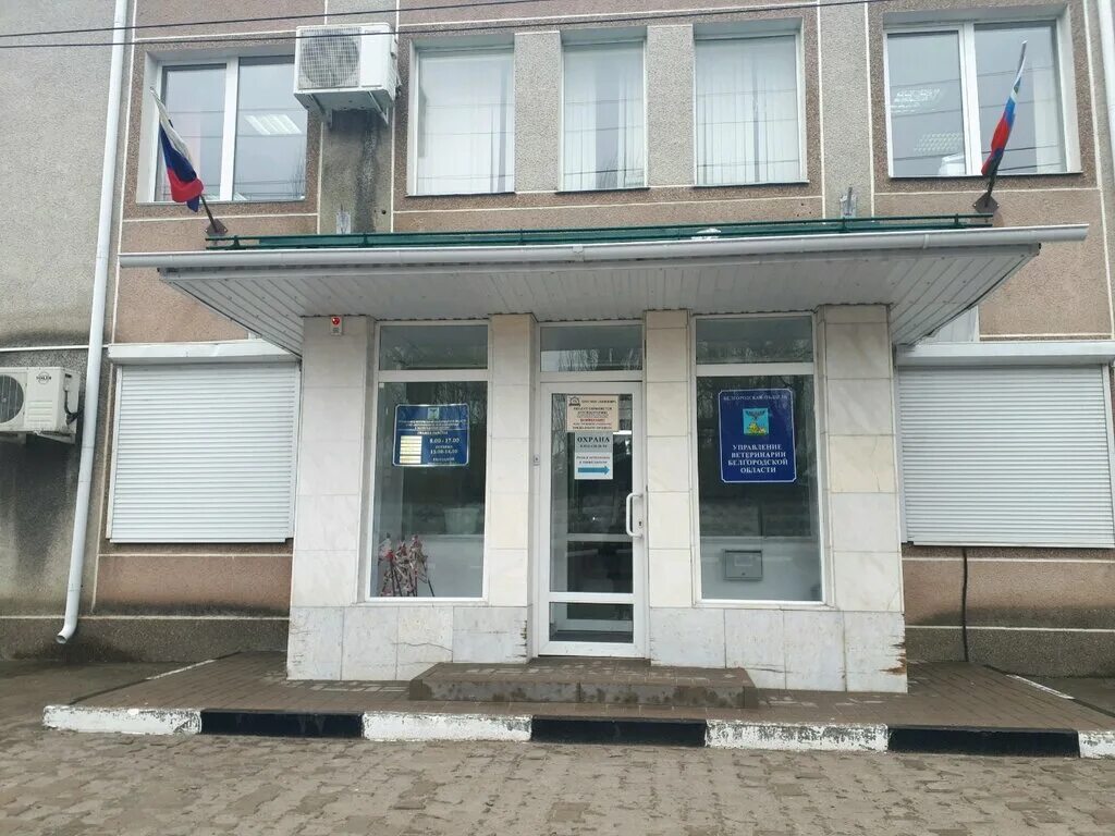 первый мичуринский переулок 5 белгород. первый мичуринский переулок белгород. белгород, мичуринский 1-й переулок 8. белгород 2 мичуринский переулок 1. 1 й мичуринский.