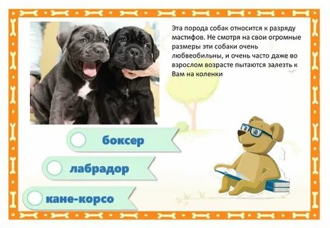 Ответ породы собак