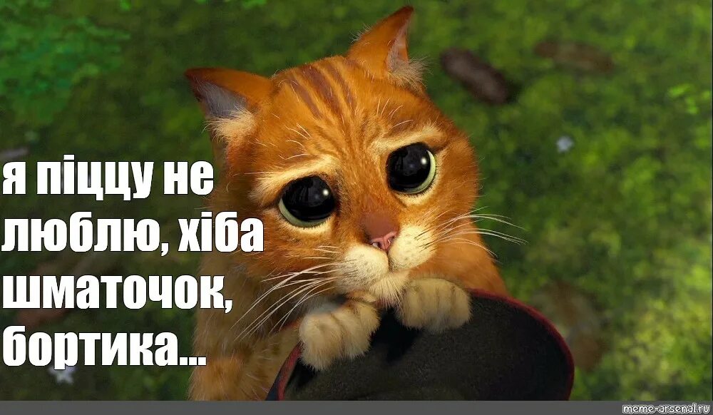 Коты, похожие на героев кино и мультфильмов Cute cats, Cats, Drawings
