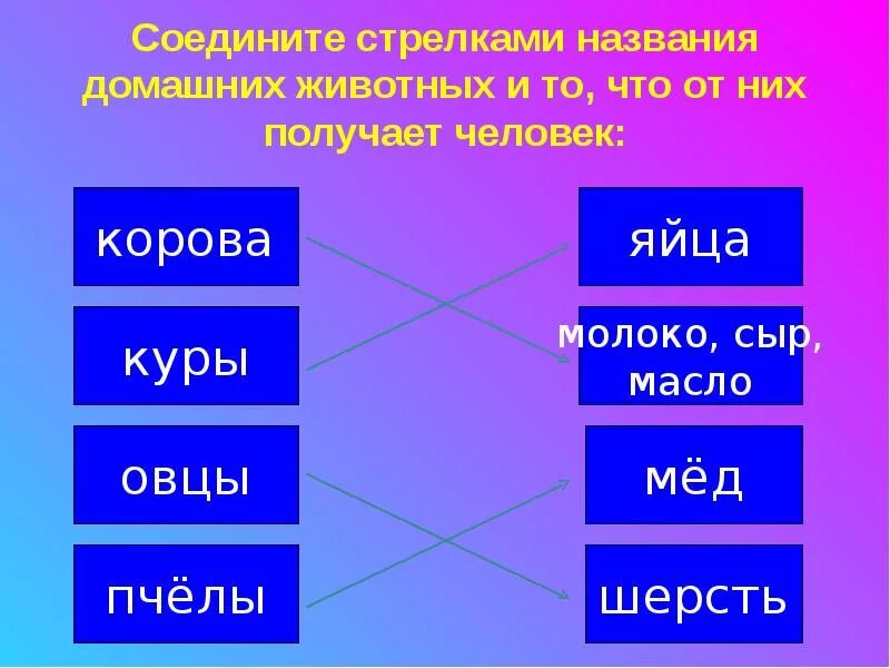 Имена стрелков. Что человек получает от домашних животных. Что люди получают от животных 2 класс. Что человек получает от домашних животных 2 класс окружающий мир. Соедини стрелками что получает человек от домашних животных.