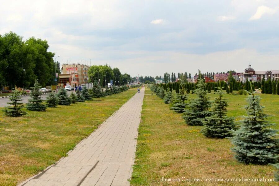 Поселок Строитель Белгородская область. Город Строитель Яковлевский район. Город Строитель Яковлевский район Белгородская область. Строитель Белгород. Погода город строитель белгородской