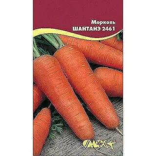Две морковки магазин