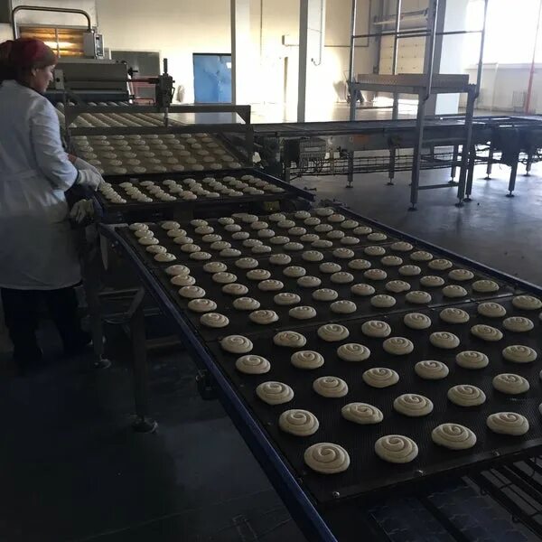 Брянский хлебокомбинат 1. Хлебзавод. Хлебозавод московской области. Подольск хлебозавод вакансии. Формовщик на хлебозаводе.