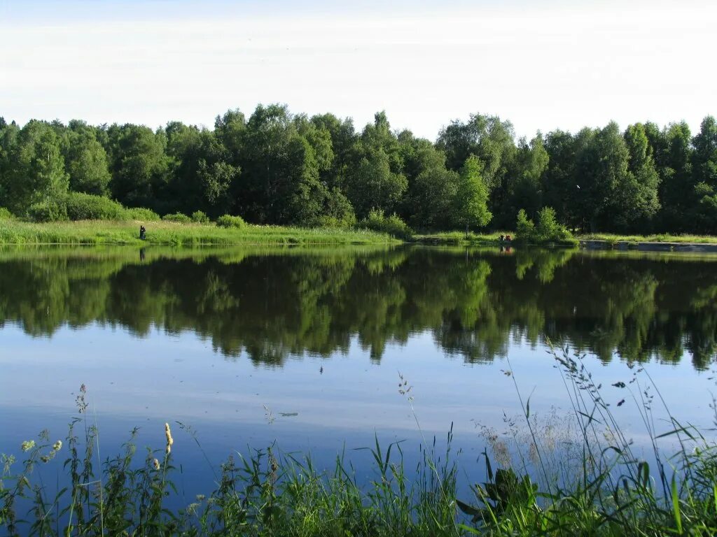 Зеленый городок Костино Пушкино. Река Скалба Пушкинский район. Костино речка Пушкино. Деревня Костино Пушкинский район. Поселок зеленый городок пушкинский