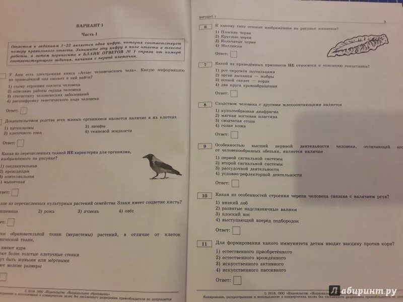 Огэ биология урок. Варианты ОГЭ по биологии. Варианта это в биологии. ОГЭ по биологии ответы. ОГЭ по биологии 2022 Рохлов 30 вариантов.