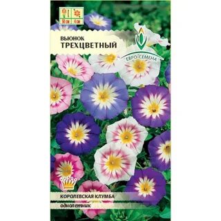 Вьюнок трехцветный семена