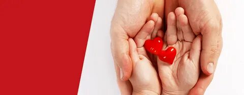 Проект спаси жизнь