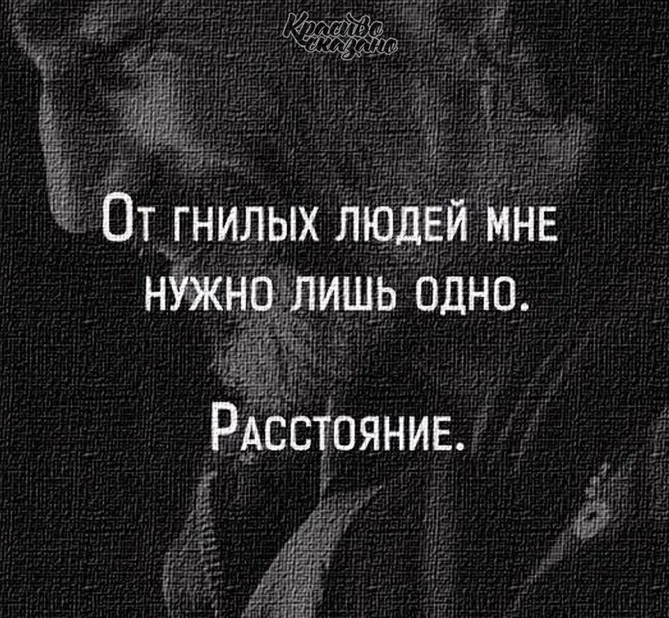 Цитаты тварь. Фразы про гнилых людей. цитаты про гнилых людей. высказывания о гнилых людях. от гнилых людей.