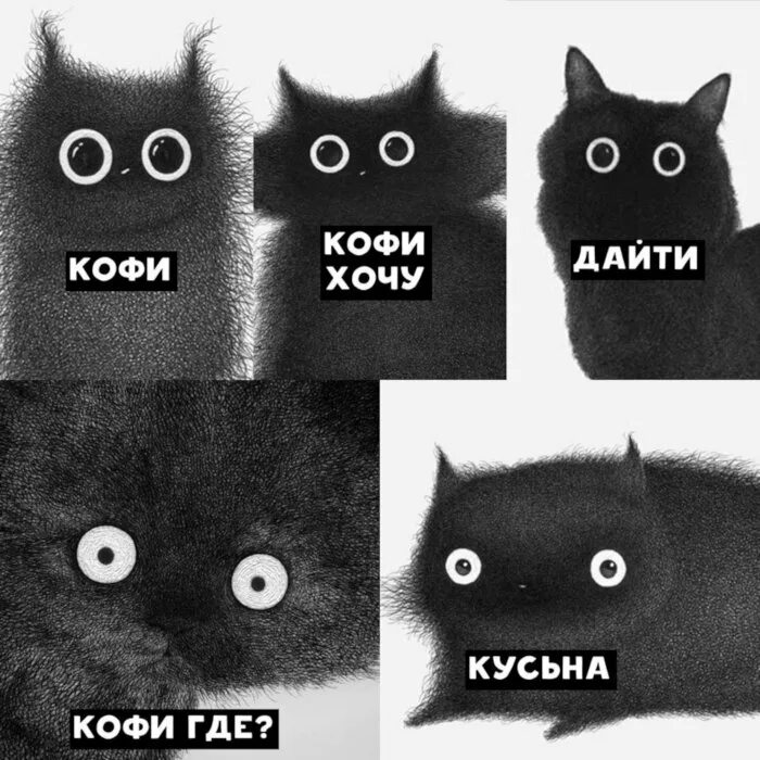 Кот с кофе мем Imagine walking through a supermarket and seeing a picture like this. Your actio