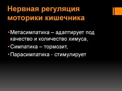 Регуляция кишечника