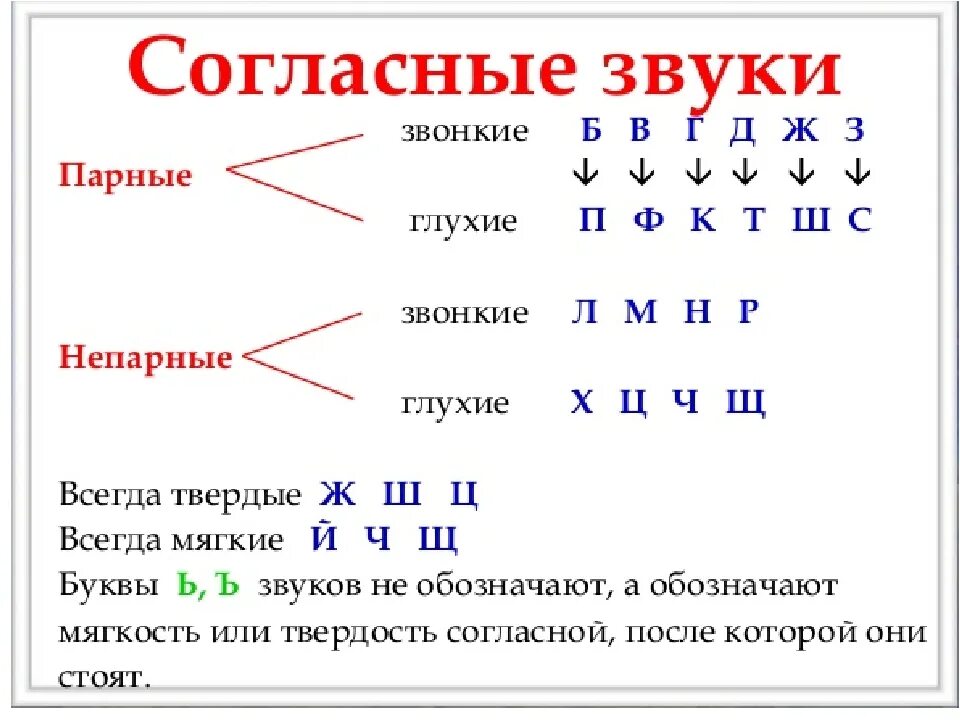 Как будет звучать слово. Парные непарные звонкие и глухие согласные таблица. Буквы обозначающие глухие согласные звуки. Парные и непарные твёрдые и мягкие согласные звуки. Парные глухие согласные звуки.