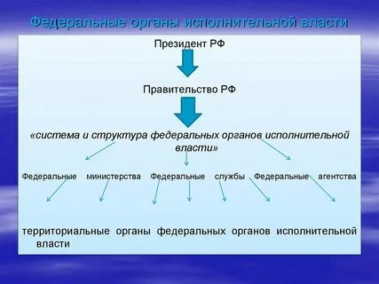 Орган возглавляющий единую систему исполнительной власти