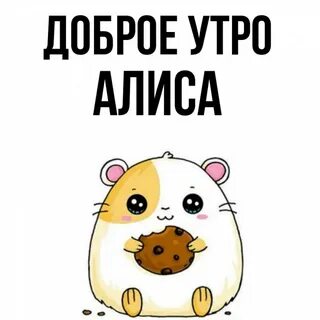 Не доброе утро алиса