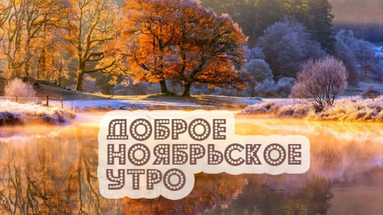 Добро утро картинки ноябрь. С добрым ноябрьским утром. Доброе утро ноябрь. Бодрого ноябрьского утра. Доброе нояборьского уьра.