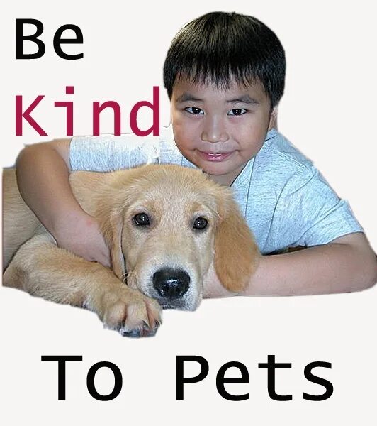 Be kind to a Pet. To be kind to animals картинка для детей. Kind with Pets. Kinjto Pet. Be kind together