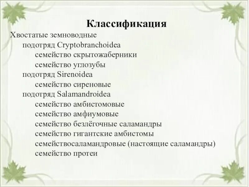 Класс земноводных классификация. Хвостатые классификация. классификация хвостатых земноводных. систематика хвостатые. классификация хвостатых амфибий.