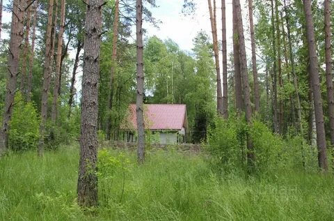 Хутор майнило
