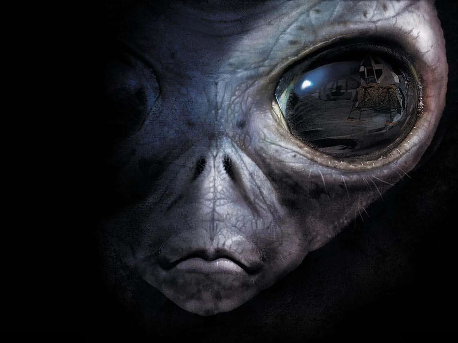 Real life alien. Зона 51 фото инопланетян. Зона 51 секретные материалы.