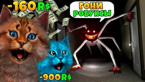 Привет коты играть